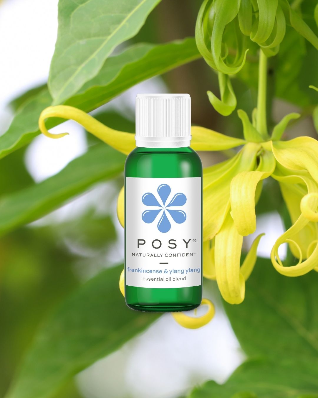 POSY essential oil blends