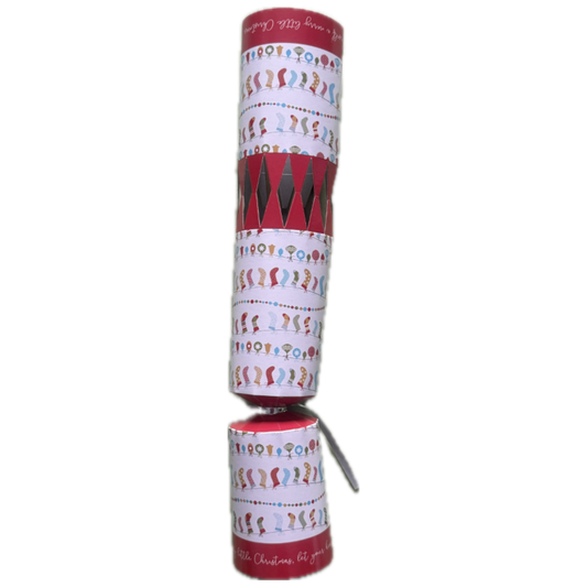 🎄 Fill-Your-Own Christmas Cracker ✨