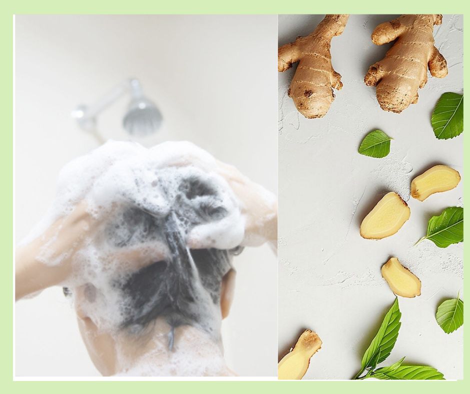 ginger & mint Shampoo Bar