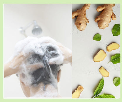 ginger & mint Shampoo Bar