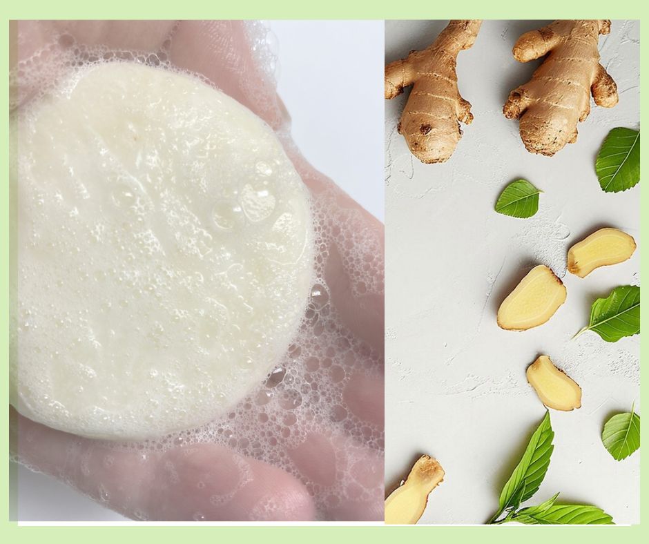 ginger & mint Shampoo Bar